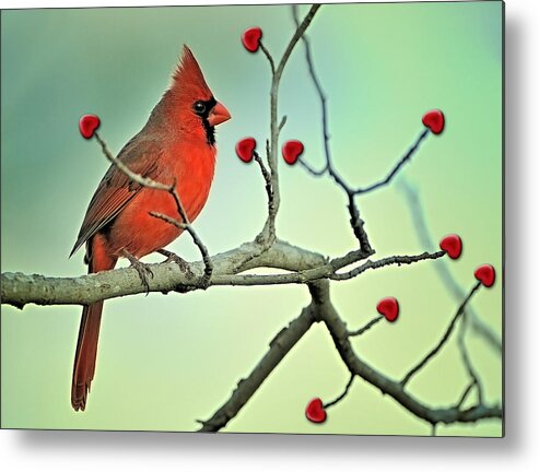 Valentine Metal Print featuring the photograph Happy Valentine's Day by Bonnie Barry