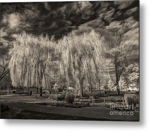 Infrared Metal Print featuring the photograph Heckscher Pond Long Island by Jeff Breiman