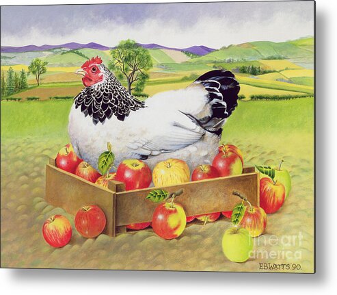 Hen Metal Print featuring the painting Hen in a Box of Apples by EB Watts