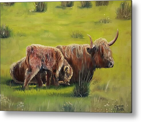Highland Ciws Metal Print featuring the painting Highland Pair by Connie Rish