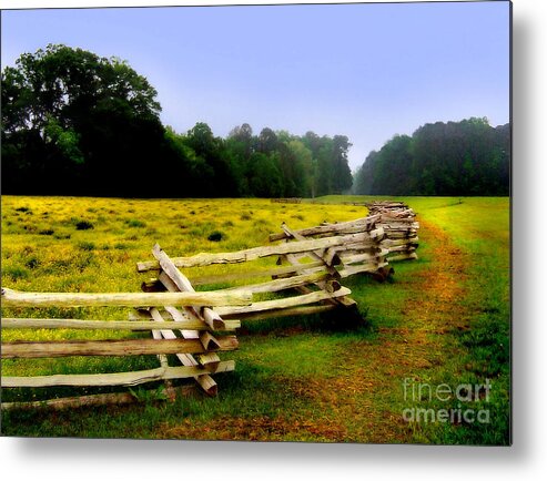 Historic Metal Print featuring the photograph Historic Path Natchez Trace Parkway by T Lowry Wilson