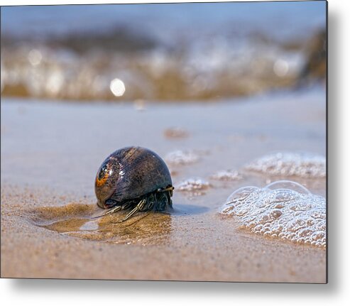 Bubbles Metal Print featuring the photograph In My Way by Brad Boland