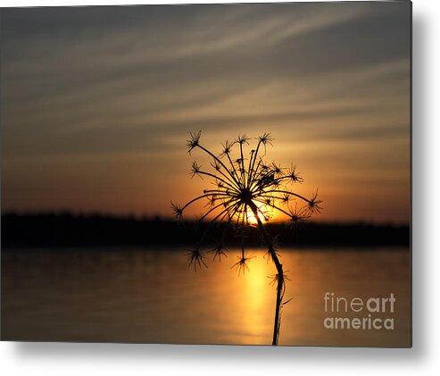 Sunset Metal Print featuring the photograph It's Nature's Way Of Receiving You by Terry Doyle