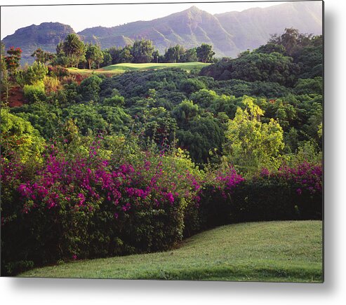 Bright Metal Print featuring the photograph Kiele Course, flowers and vegetation by Carl Shaneff - Printscapes