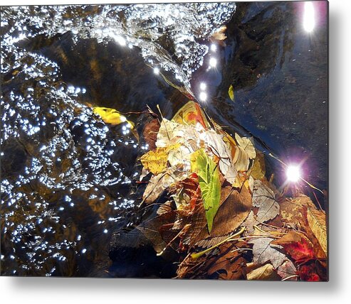 Leaves Metal Print featuring the photograph Leaves In River by Wolfgang Schweizer