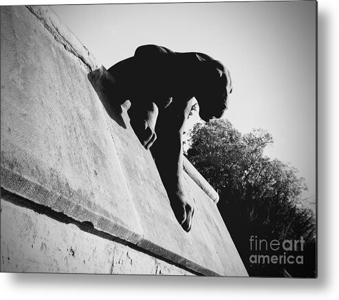 Leopard Metal Print featuring the photograph Leopard on the Wall by Rachel Morrison