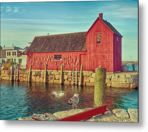 Lobster Shack; Shack; Harbor; Rockport; Massachusetts; Rockport Harbor; Seagull Metal Print featuring the photograph Lobster Shack by Mick Burkey