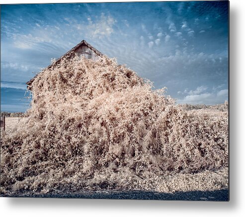 Barn Metal Print featuring the photograph March of Neglect by Greg Nyquist
