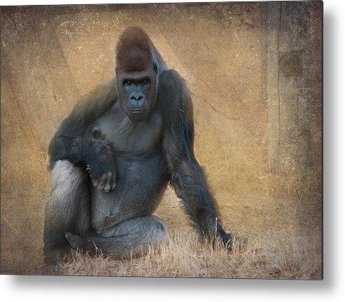 Animal Metal Print featuring the photograph Marcus by Carolyn D'Alessandro