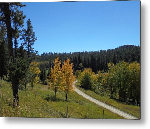 Mickelson Trail Metal Print featuring the photograph Mickelson Trail by JK Dooley