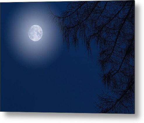 Dusk Moonlight Tree Metal Print featuring the photograph Midnight Moon and Night Tree Silhouette by John Williams