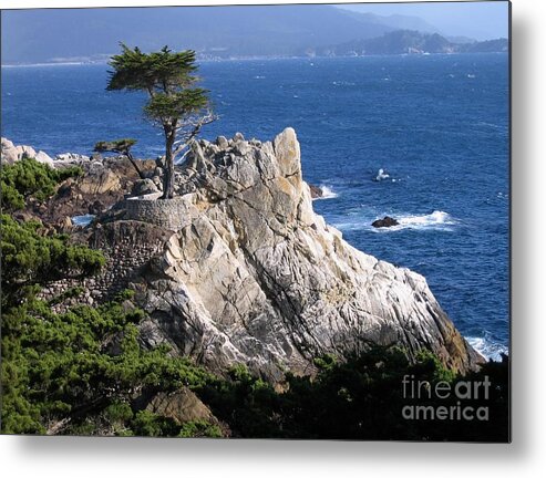 Lone Cypress Metal Print featuring the photograph Midway Point by James B Toy