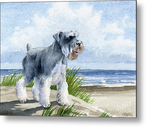 Mini Metal Print featuring the painting Miniature Schnauzer at the Beach by David Rogers