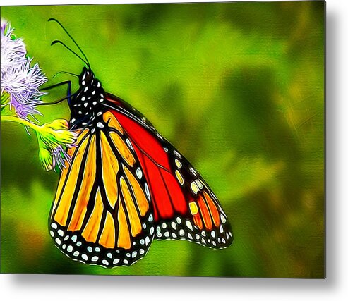 Animals Metal Print featuring the photograph Monarch by Maria Coulson