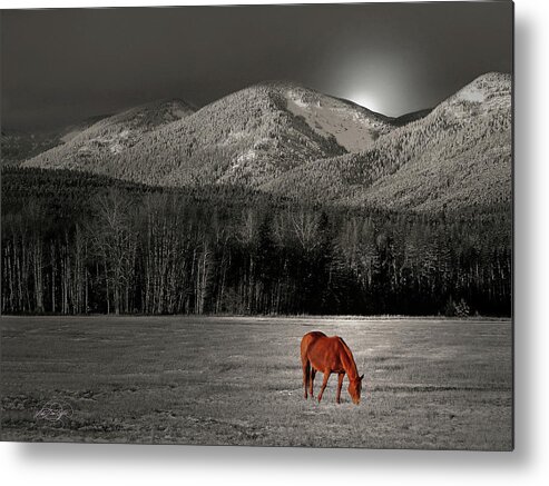 Red Metal Print featuring the digital art Moon of the wild Horse by Vicki Lea Eggen