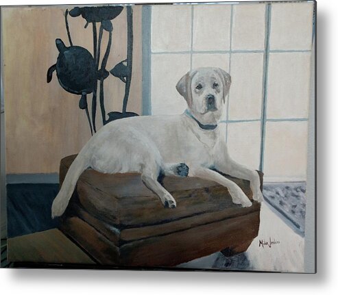 White Lab Metal Print featuring the painting My Neighbor Hutch by Mike Jenkins