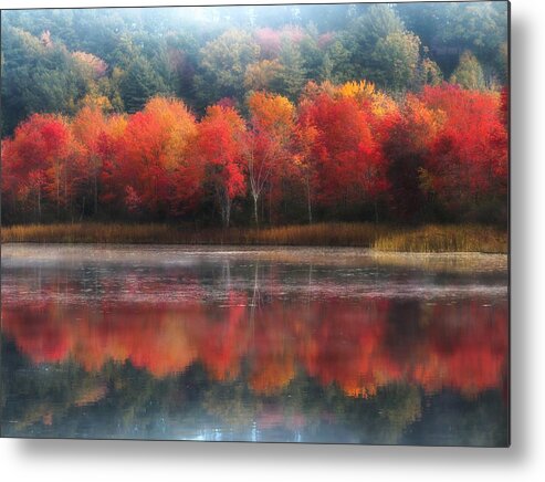 Trees Metal Print featuring the photograph October Trees - Autumn by MTBobbins Photography