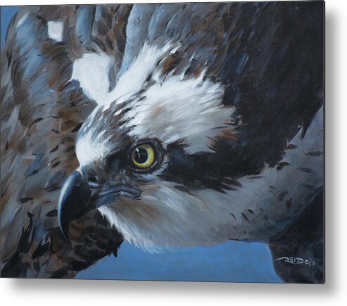 Acrylic Metal Print featuring the painting Seahawk by Christopher Reid