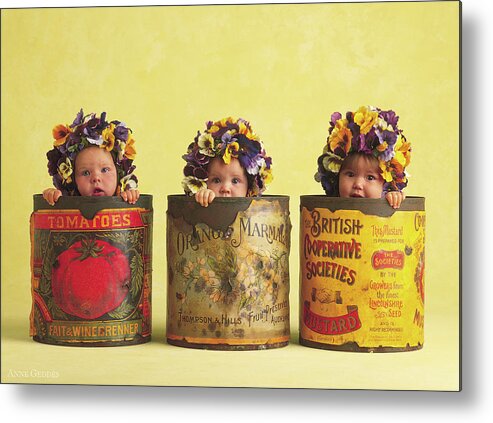 Pansy Metal Print featuring the photograph Pansy Tins by Anne Geddes