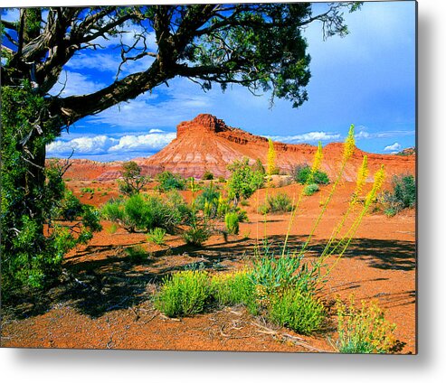 Paria Canyon Metal Print featuring the photograph Paria Wilderness by Frank Houck