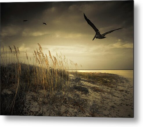 Pelicans Metal Print featuring the photograph Pelicans Over the Beach by Sandra Selle Rodriguez