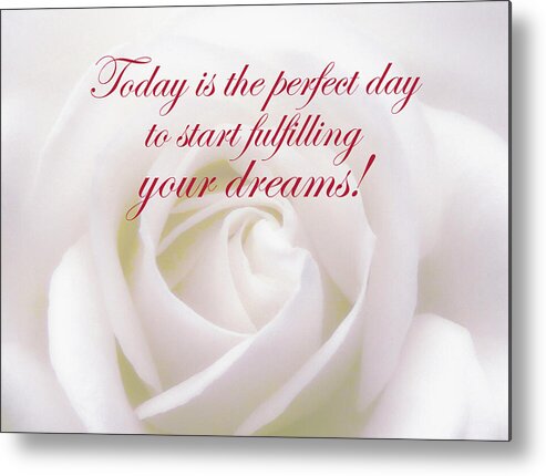 Rose Metal Print featuring the photograph Perfect Day For Fulfilling Your Dreams by Johanna Hurmerinta