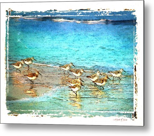 Sand Pipers Metal Print featuring the digital art Pipers run by Linda Olsen