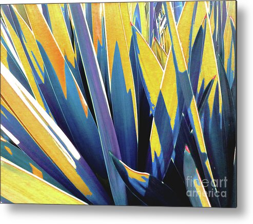 Yellow Metal Print featuring the photograph Plant Burst - Yellow by Rebecca Harman
