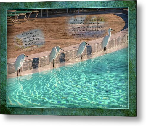 Pool Metal Print featuring the photograph Pool Talk by Hanny Heim