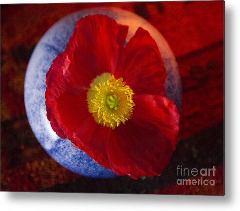 Red Metal Print featuring the photograph Poppy on Orange by Jeanette French