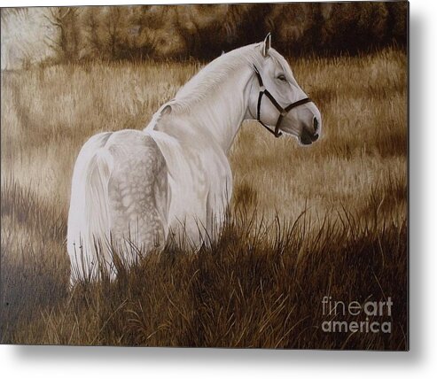 Portrait Metal Print featuring the painting Pride of the Lough by Pauline Sharp