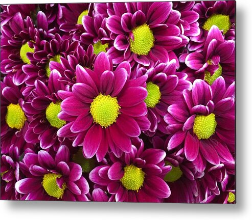Flowers Metal Print featuring the photograph Purple Yellow Flowers by Lawrence S Richardson Jr