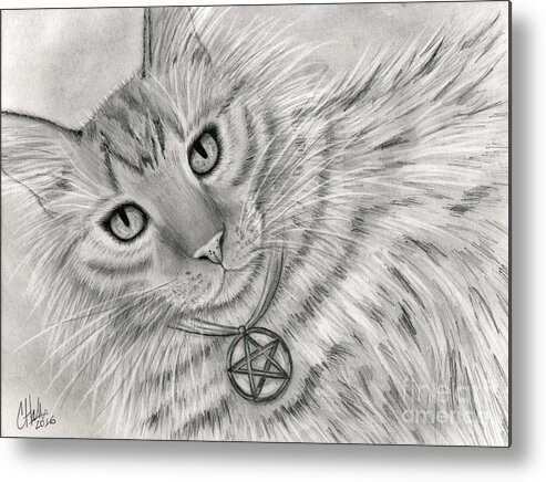 Cat Decor Metal Print featuring the drawing Purrfect Page of Pentacles - Tarot Card Art by Carrie Hawks