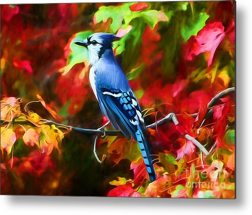 Blue Jay Metal Print featuring the photograph Quite Distinguished by Tina LeCour