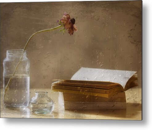 Book Metal Print featuring the photograph Reading Day by Delphine Devos