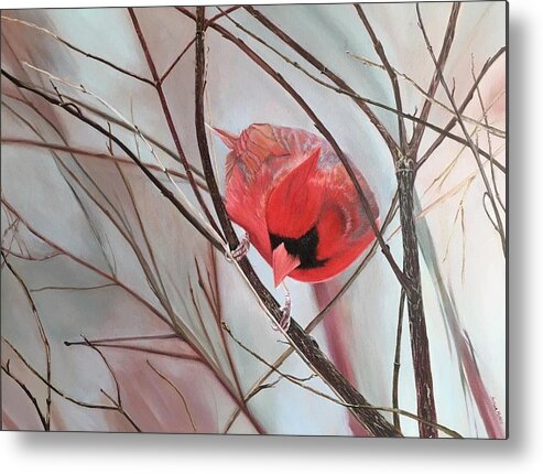 #cardinal #red #bird #feathers #nature #wildlife #landscape #trees #tree #snow #winter #birds #black #naturally #wild #canada Metal Print featuring the painting Red Alert by Stella Marin
