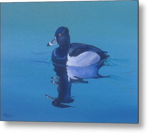 Ringneck Metal Print featuring the painting Ringneck-A Study of Reflections by Michael Allen
