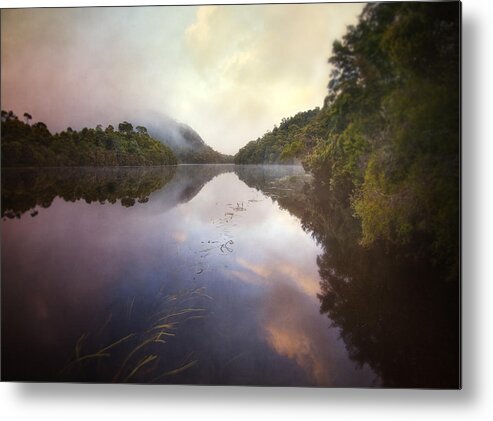 Tasmania Metal Print featuring the photograph River Fire by Amy Weiss