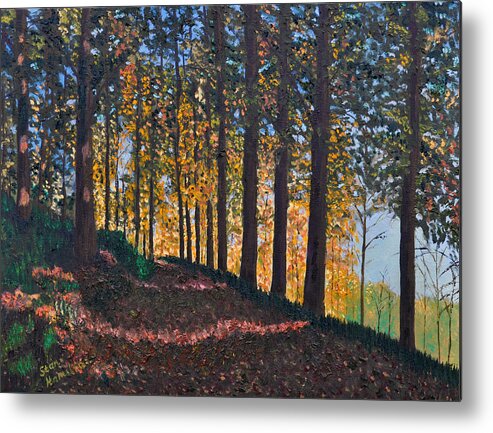 Woods Trees Autumn Fall Sky Leaves Ground Path Shadows Sunlight Road Grass Weeds Metal Print featuring the painting Road in Woods by Stan Hamilton