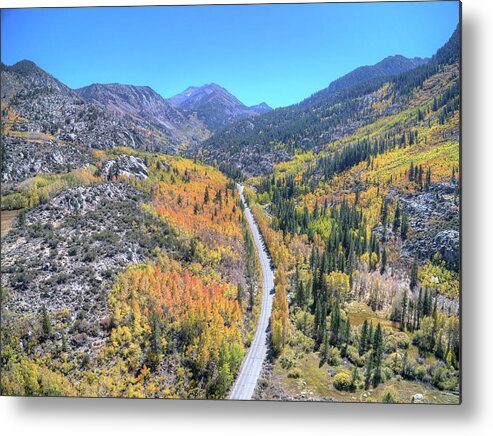 Above Metal Print featuring the photograph Road of Color by David Levy