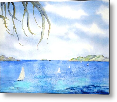 Caribbean Metal Print featuring the painting Sailing Between the Islandsd by Diane Kirk