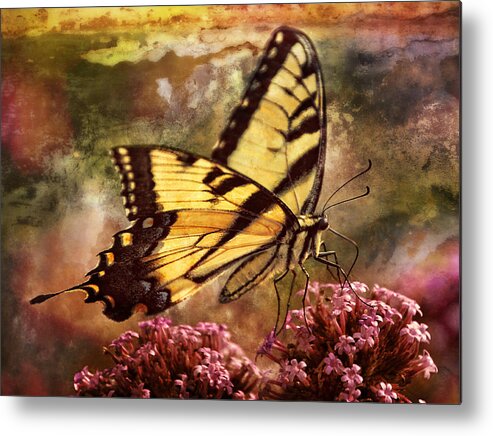 Swallowtail Butterfly Metal Print featuring the photograph Salt of the Earth by Leda Robertson