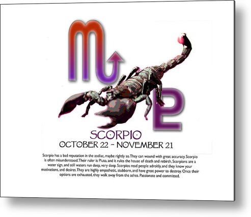 Scorpio Metal Print featuring the digital art Scorpio Sun Sign by Shelley Overton