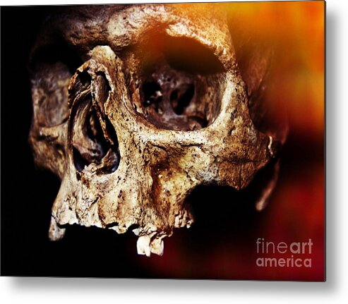 Halloween Metal Print featuring the photograph Skull #2 by Iryna Liveoak
