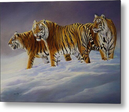 Tiger Metal Print featuring the painting Siberian Sunlight by Barry BLAKE