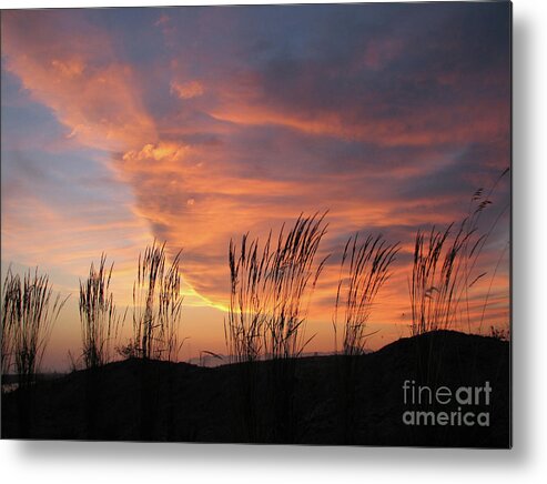 Sunset Metal Print featuring the photograph Simple Joys by Chris Anderson