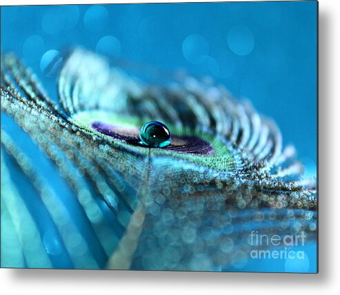 Peacock Feather Metal Print featuring the photograph Small Miracles by Krissy Katsimbras