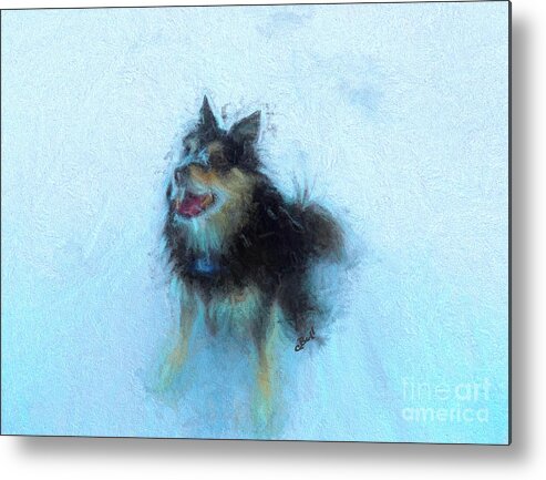 Dog Metal Print featuring the photograph Snow Dog by Claire Bull
