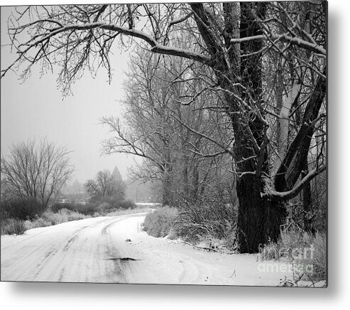 Winter Metal Print featuring the photograph Snowy Branch over Country Road - Black and White by Carol Groenen