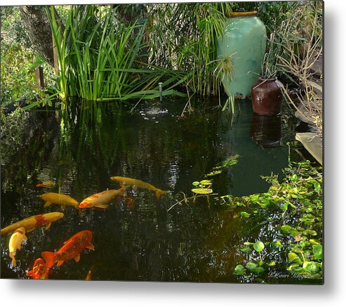Fish Metal Print featuring the photograph Soothing Koi Pond by K L Kingston